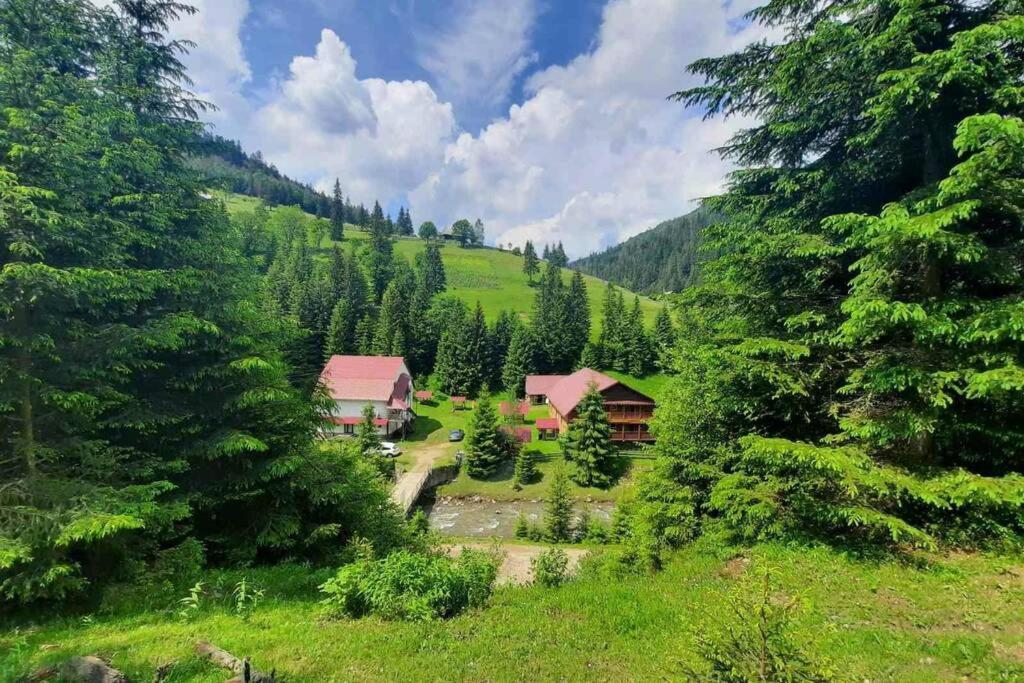 Сімейний Номер 2 Садиба У Ані Synevyrsʼka Polyana المظهر الخارجي الصورة